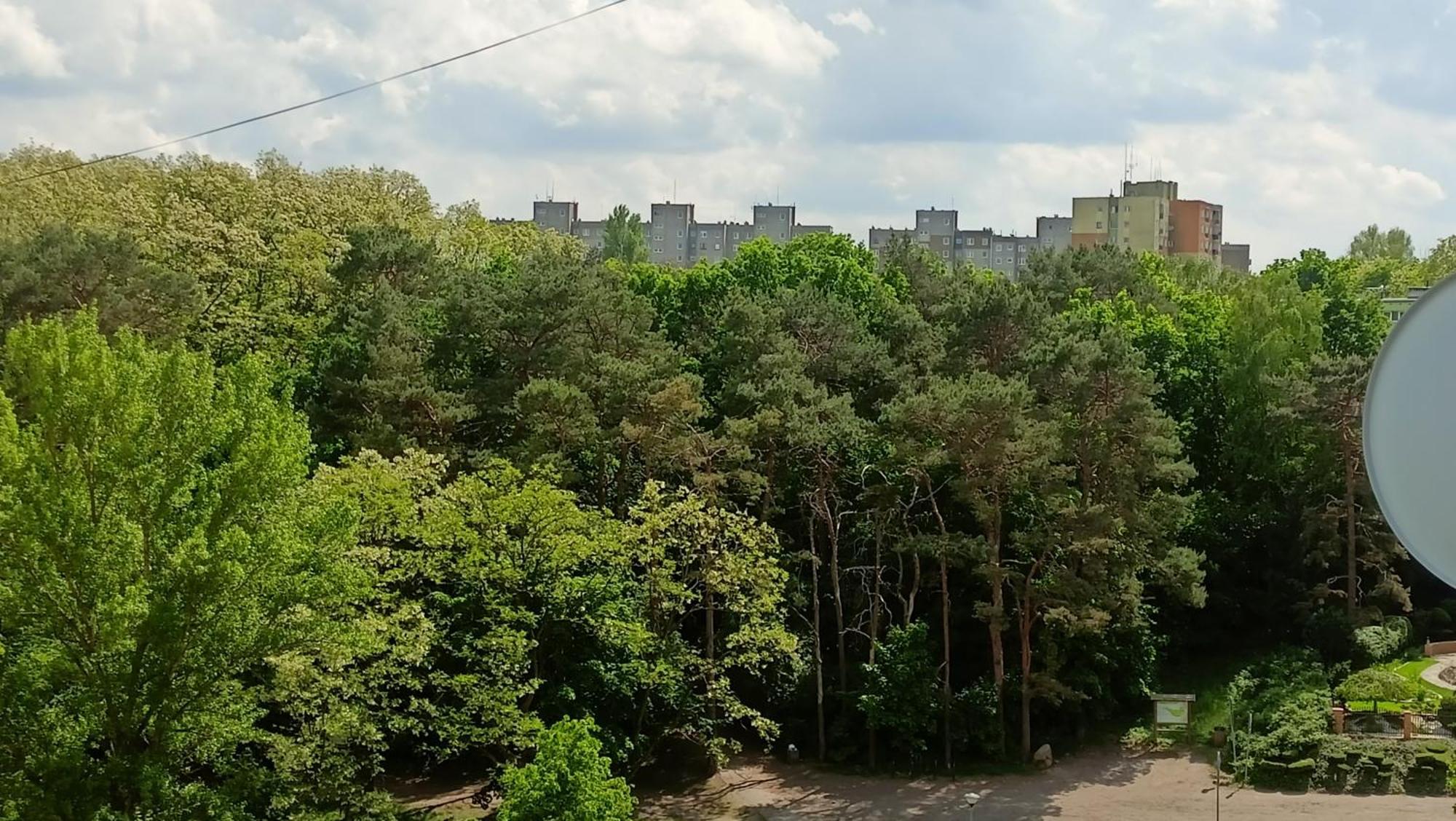 Drzewna Apartamenty - Wladyslawa Зелёна-Гура Экстерьер фото