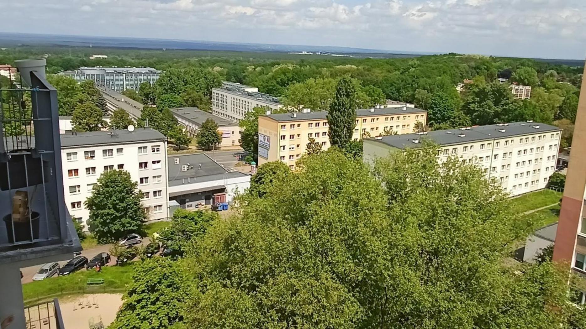 Drzewna Apartamenty - Wladyslawa Зелёна-Гура Экстерьер фото
