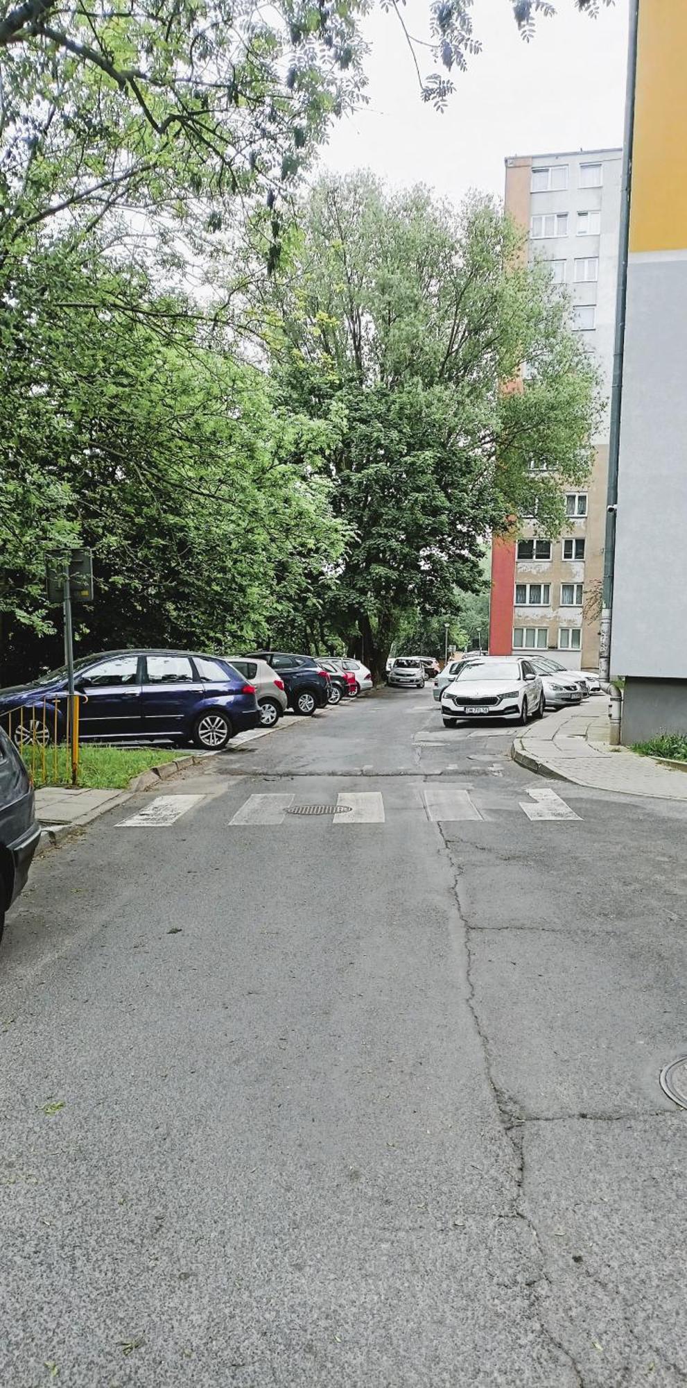Drzewna Apartamenty - Wladyslawa Зелёна-Гура Экстерьер фото