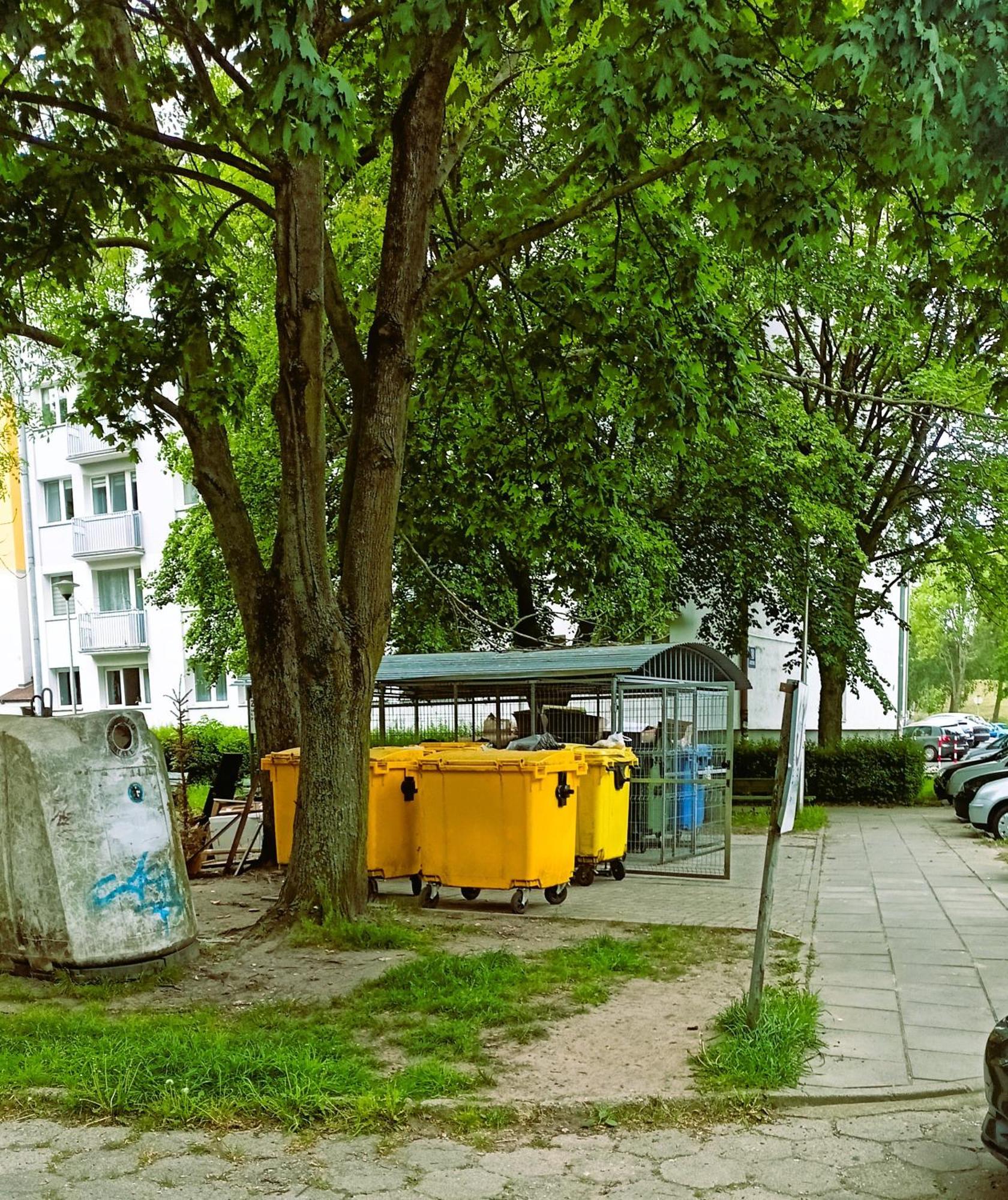 Drzewna Apartamenty - Wladyslawa Зелёна-Гура Экстерьер фото