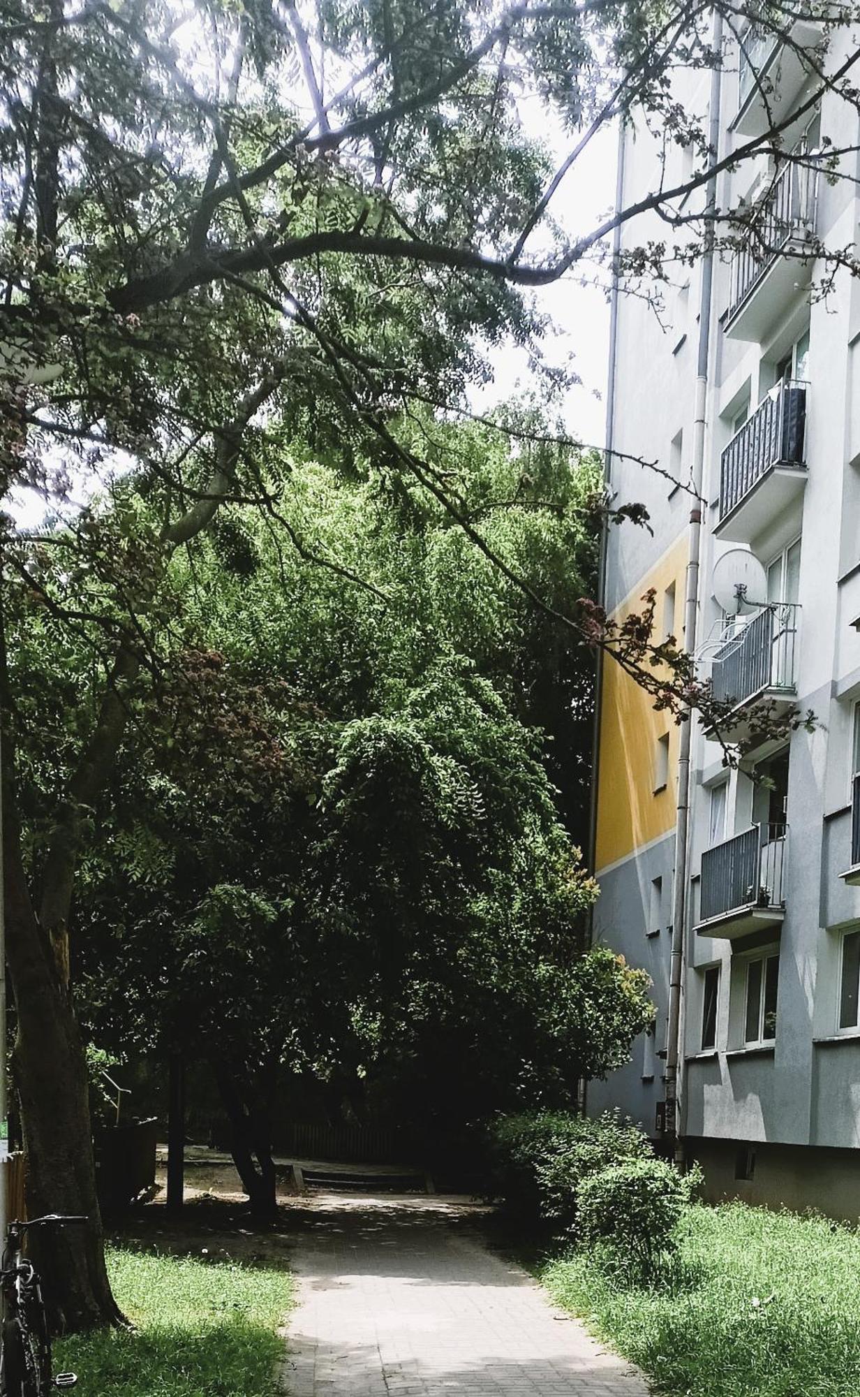 Drzewna Apartamenty - Wladyslawa Зелёна-Гура Экстерьер фото
